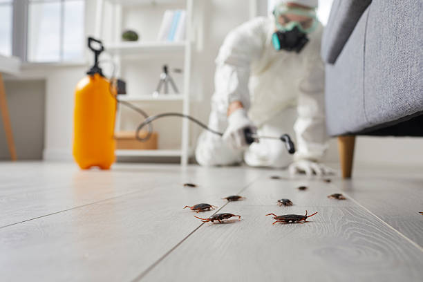 Commercial Kitchen Cockroach Control in Wamego